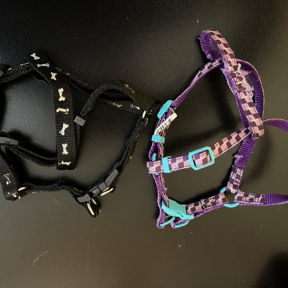 Dog accessories bundle - Picture 2 of 4